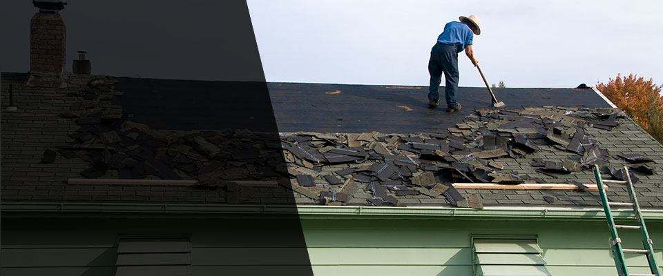 Transfer Roofing Contractors